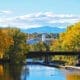 Fall Colors Along the South Platte River