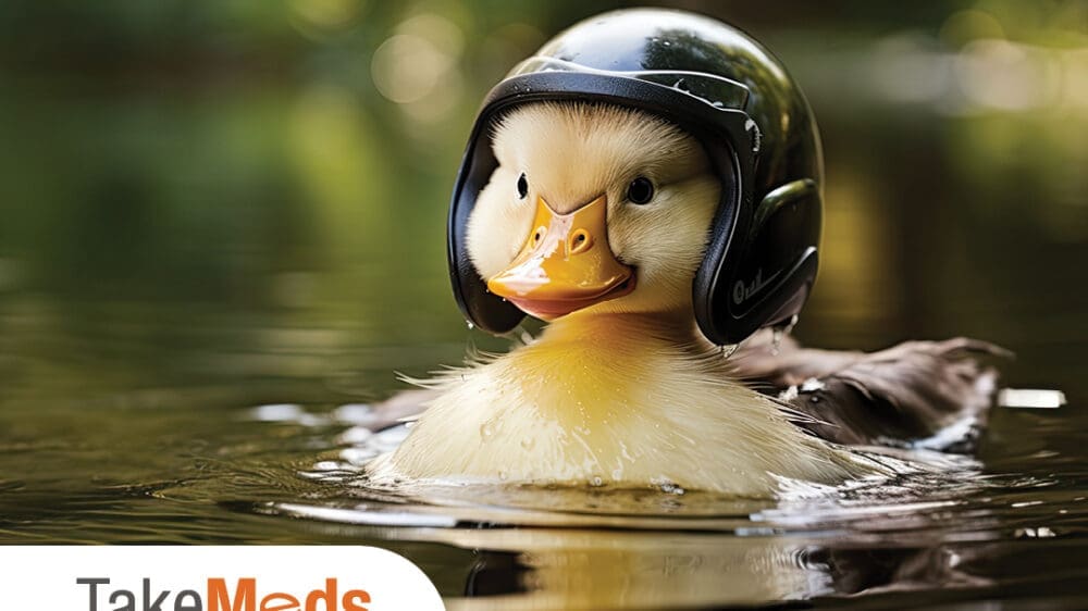 Duck in helement